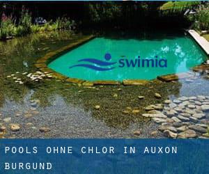 Pools-ohne-chlor in Auxon (Burgund)