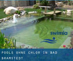 Pools-ohne-chlor in Bad Bramstedt