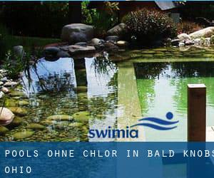 Pools-ohne-chlor in Bald Knobs (Ohio)