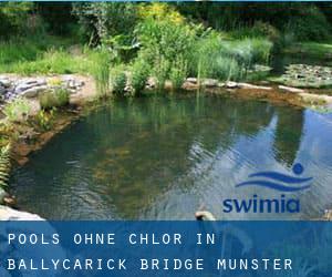 Pools-ohne-chlor in Ballycarick Bridge (Munster)