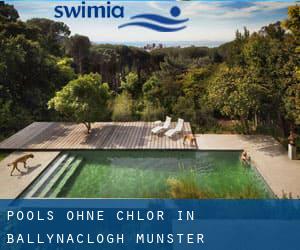 Pools-ohne-chlor in Ballynaclogh (Munster)