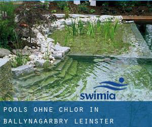 Pools-ohne-chlor in Ballynagarbry (Leinster)