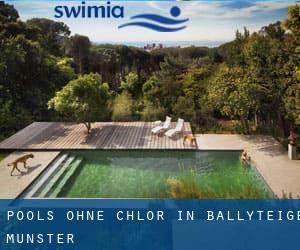 Pools-ohne-chlor in Ballyteige (Munster)