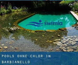 Pools-ohne-chlor in Barbianello