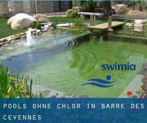 Pools-ohne-chlor in Barre-des-Cévennes