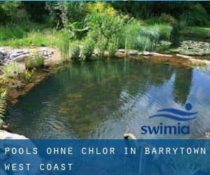 Pools-ohne-chlor in Barrytown (West Coast)