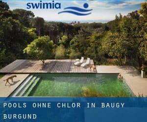 Pools-ohne-chlor in Baugy (Burgund)