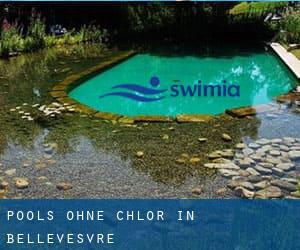 Pools-ohne-chlor in Bellevesvre