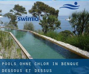 Pools-ohne-chlor in Benque-Dessous-et-Dessus