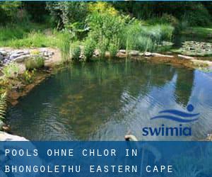 Pools-ohne-chlor in Bhongolethu (Eastern Cape)