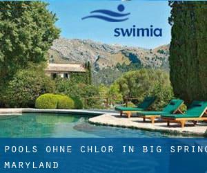 Pools-ohne-chlor in Big Spring (Maryland)