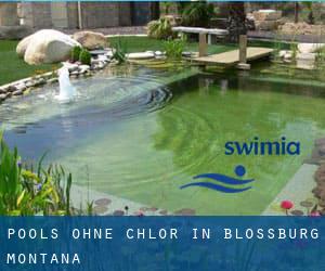 Pools-ohne-chlor in Blossburg (Montana)