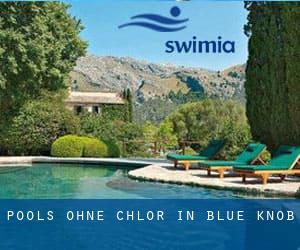 Pools-ohne-chlor in Blue Knob