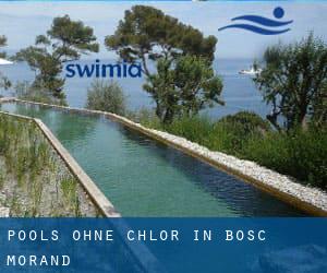 Pools-ohne-chlor in Bosc-Morand