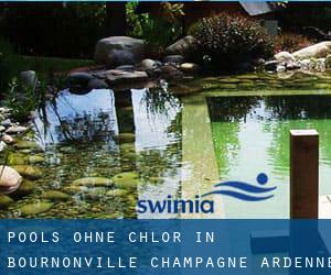 Pools-ohne-chlor in Bournonville (Champagne-Ardenne)