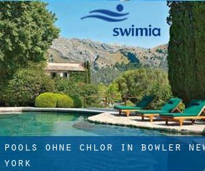 Pools-ohne-chlor in Bowler (New York)