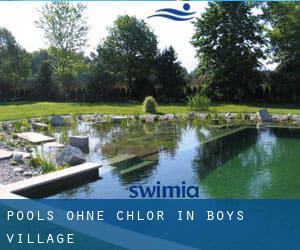 Pools-ohne-chlor in Boys Village