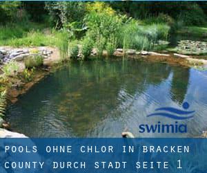 Pools-ohne-chlor in Bracken County durch Stadt - Seite 1