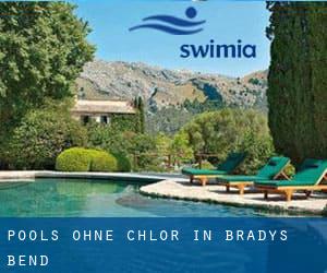 Pools-ohne-chlor in Bradys Bend