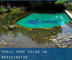 Pools-ohne-chlor in Brassington