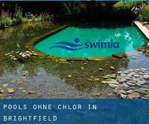 Pools-ohne-chlor in Brightfield