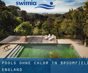 Pools-ohne-chlor in Broomfield (England)