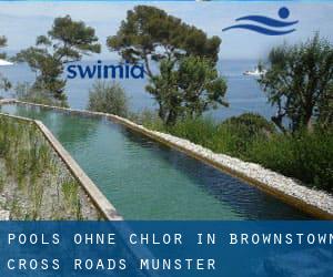 Pools-ohne-chlor in Brownstown Cross Roads (Munster)