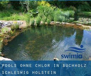 Pools-ohne-chlor in Buchholz (Schleswig-Holstein)