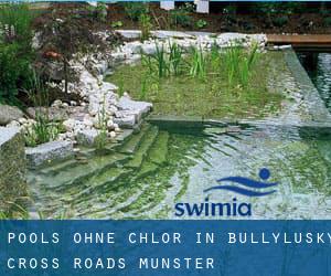 Pools-ohne-chlor in Bullylusky Cross Roads (Munster)