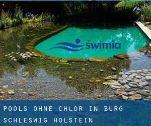 Pools-ohne-chlor in Burg (Schleswig-Holstein)