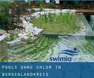 Pools-ohne-chlor in Burgenlandkreis