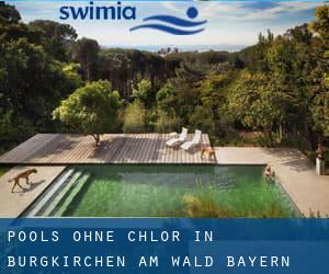 Pools-ohne-chlor in Burgkirchen am Wald (Bayern)