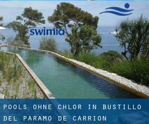 Pools-ohne-chlor in Bustillo del Páramo de Carrión