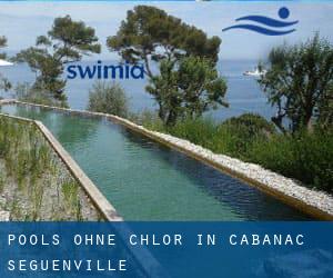 Pools-ohne-chlor in Cabanac-Séguenville