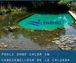 Pools-ohne-chlor in Cabezabellosa de la Calzada