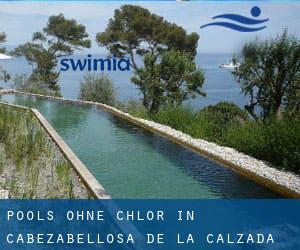 Pools-ohne-chlor in Cabezabellosa de la Calzada