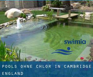 Pools-ohne-chlor in Cambridge (England)