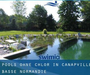 Pools-ohne-chlor in Canapville (Basse-Normandie)