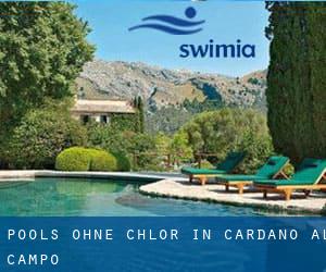 Pools-ohne-chlor in Cardano al Campo