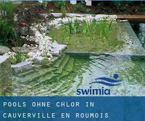 Pools-ohne-chlor in Cauverville-en-Roumois