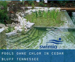 Pools-ohne-chlor in Cedar Bluff (Tennessee)