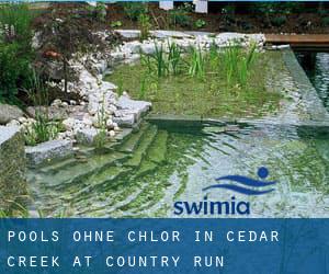 Pools-ohne-chlor in Cedar Creek at Country Run