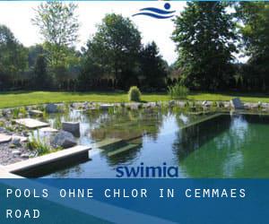 Pools-ohne-chlor in Cemmaes Road