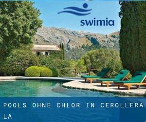 Pools-ohne-chlor in Cerollera (La)