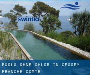 Pools-ohne-chlor in Cessey (Franche-Comté)