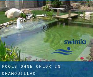 Pools-ohne-chlor in Chamouillac