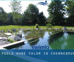 Pools-ohne-chlor in Chennebrun