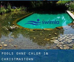 Pools-ohne-chlor in Christmastown