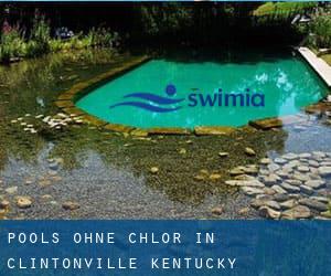 Pools-ohne-chlor in Clintonville (Kentucky)