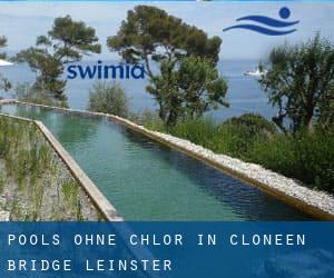 Pools-ohne-chlor in Cloneen Bridge (Leinster)